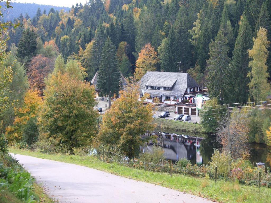 Klosterweiherhof - Schluchsee