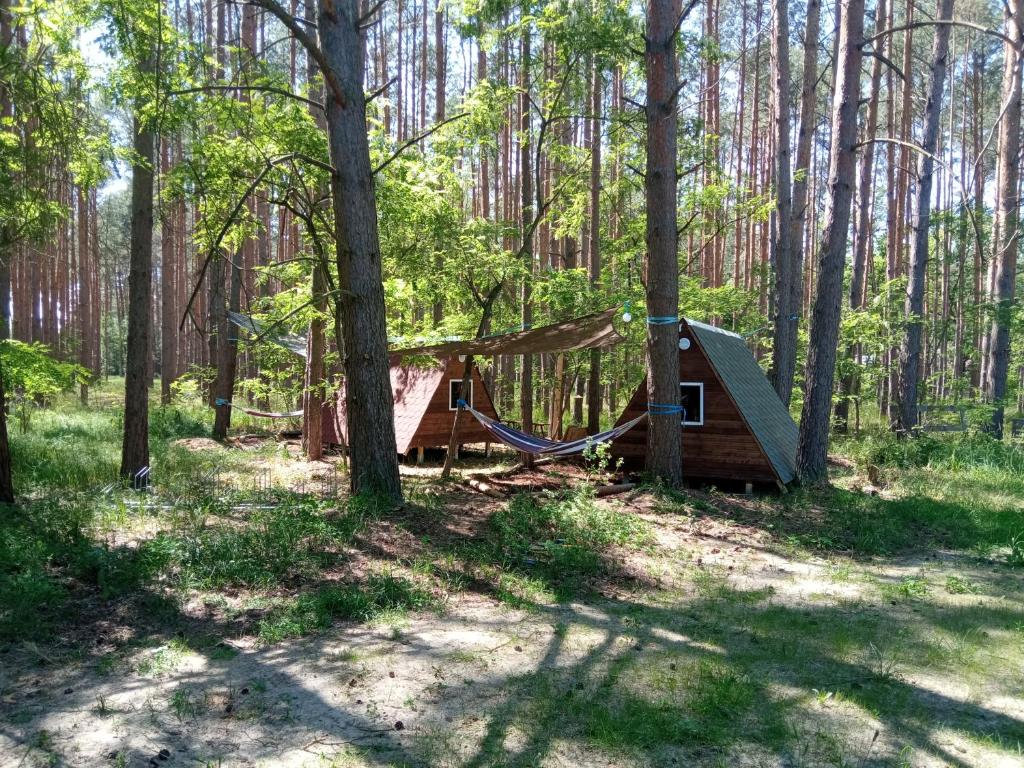 Tolle Fin Hütte, Waldcamping, Outdoor Sanitär, Abenteuer - Cottbus
