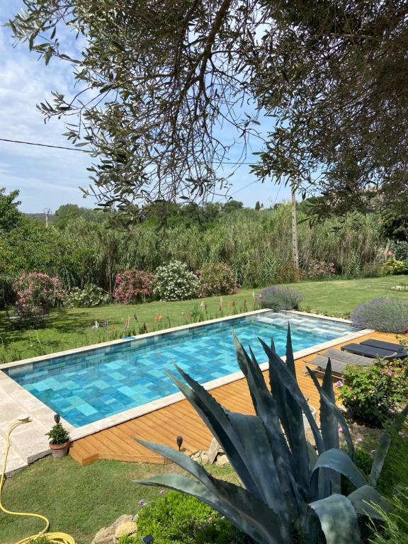 Maisonnette et piscine - Salon-de-Provence