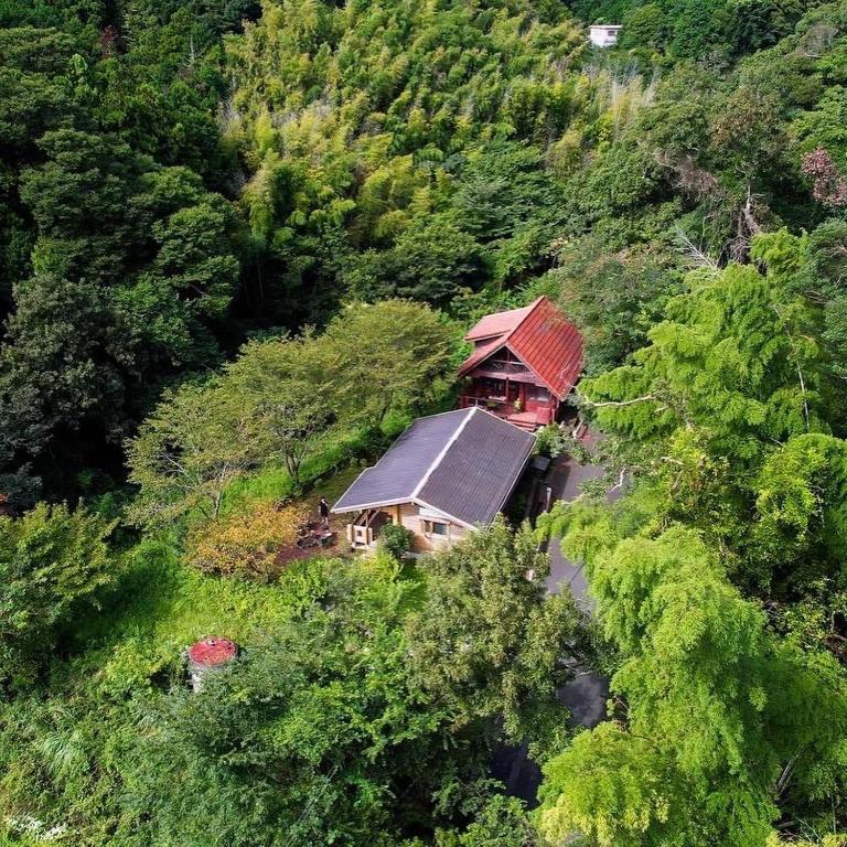 Sunny Side Cottage Topi - Shimoda