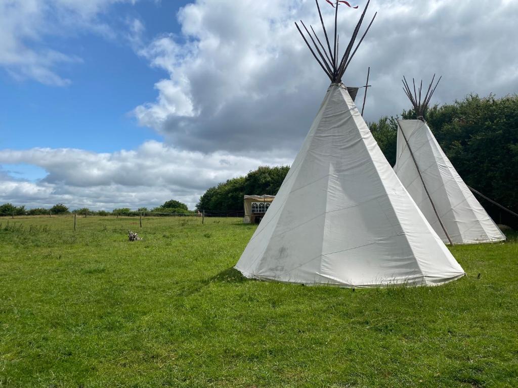 Cloud 9 Authentic Tipi - Yeovil