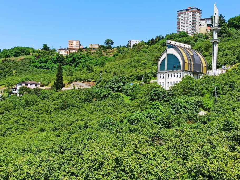 Local Home - Trabzon Il, Türkiye