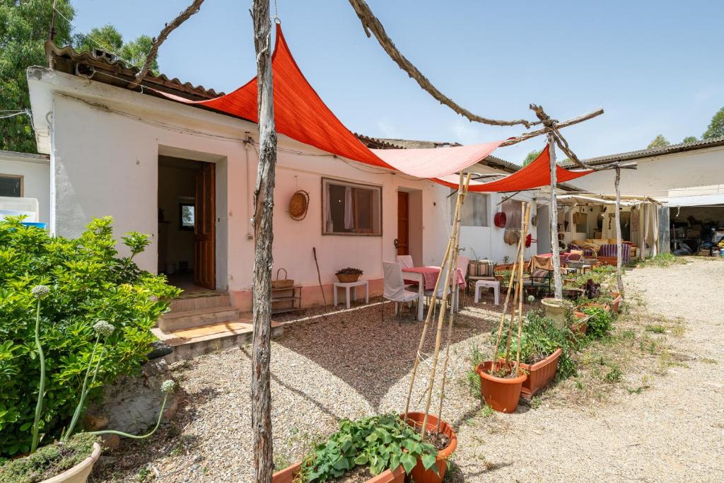 Olive Tent - In Our Garden - Quartu Sant'Elena