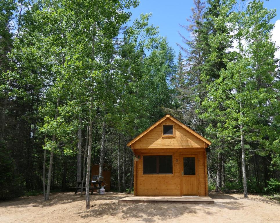 Cozy Cabin In The Woods #3 - Algonquin Provincial Park