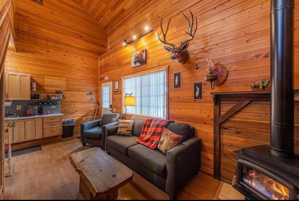 Cabin #1 Buffalo Herd -Pet Friendly - Sleeps 6 - Playground & Game Room - Christopher Creek, AZ