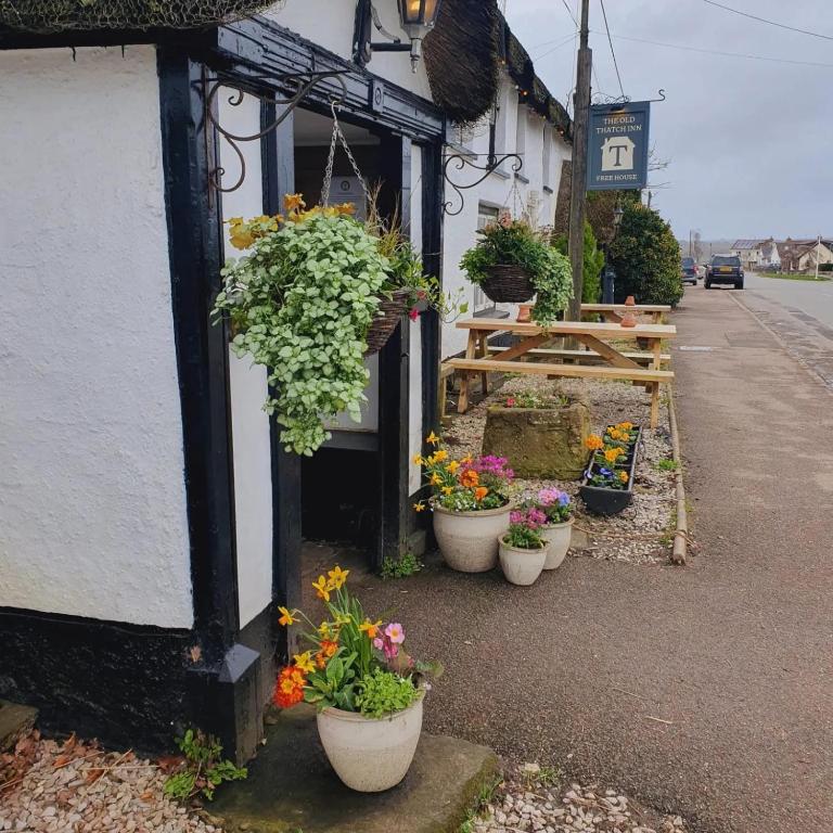 The Old Thatch Inn - Crediton