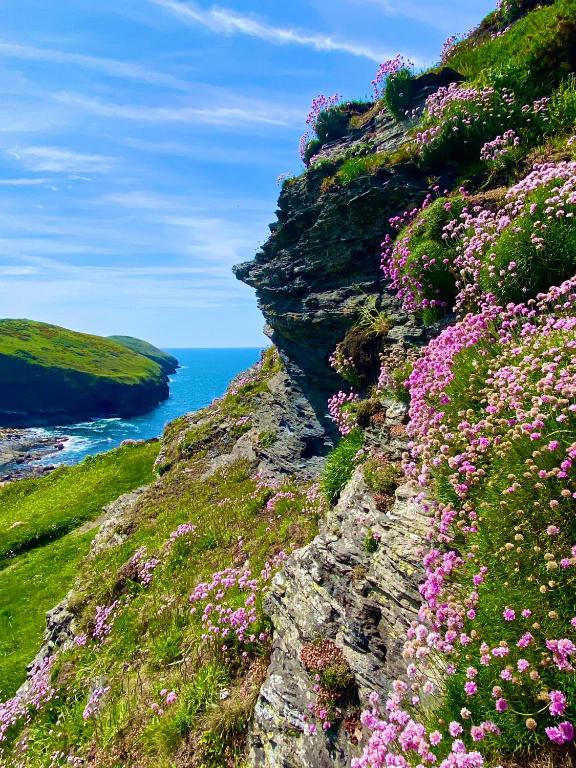 Polrunny Farm Blackberry Cottage - Cornwall Bliss In Sight Of The Sea - Boscastle