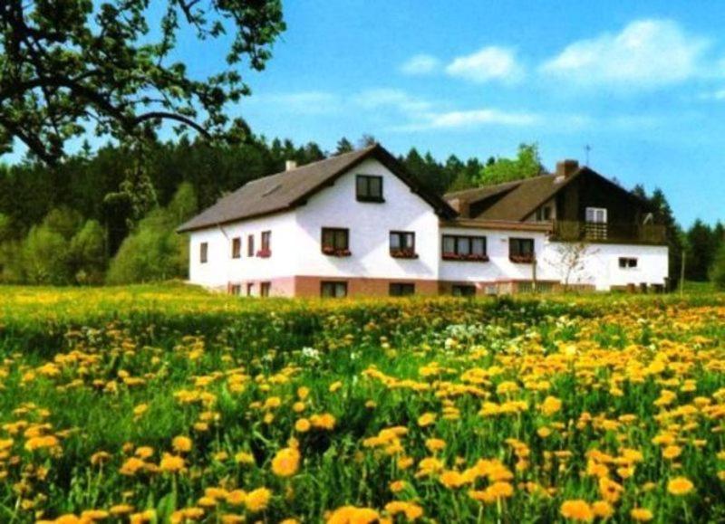 Gasthaus-pension Zum Brandweiher - Amorbach