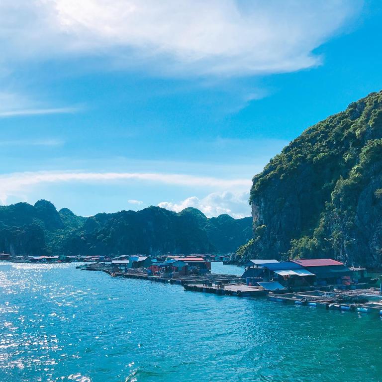 Halong Bay Full Day Cruise Kayaking, Swimming, Hiking:all Include - Hanoi