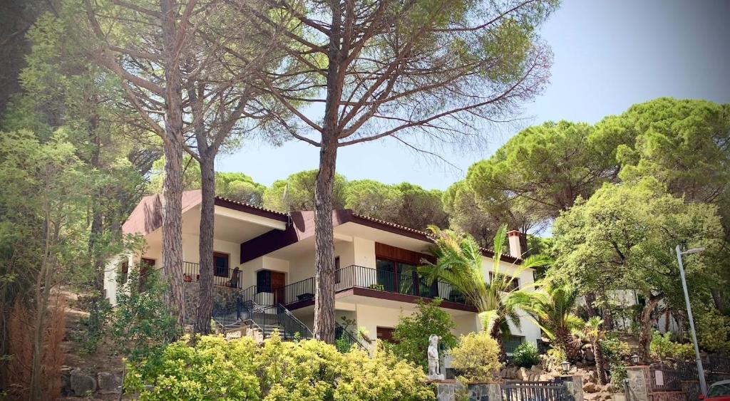Luxury Private Villa 25m Pool, Gym, 200m To Beach - Santa Cristina d'Aro