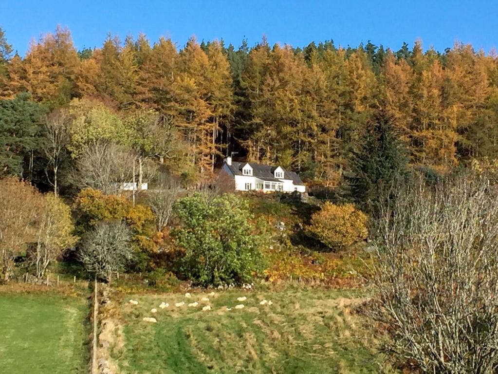 2 Bedroom Accommodation In Linside, Near Lairg - Lairg