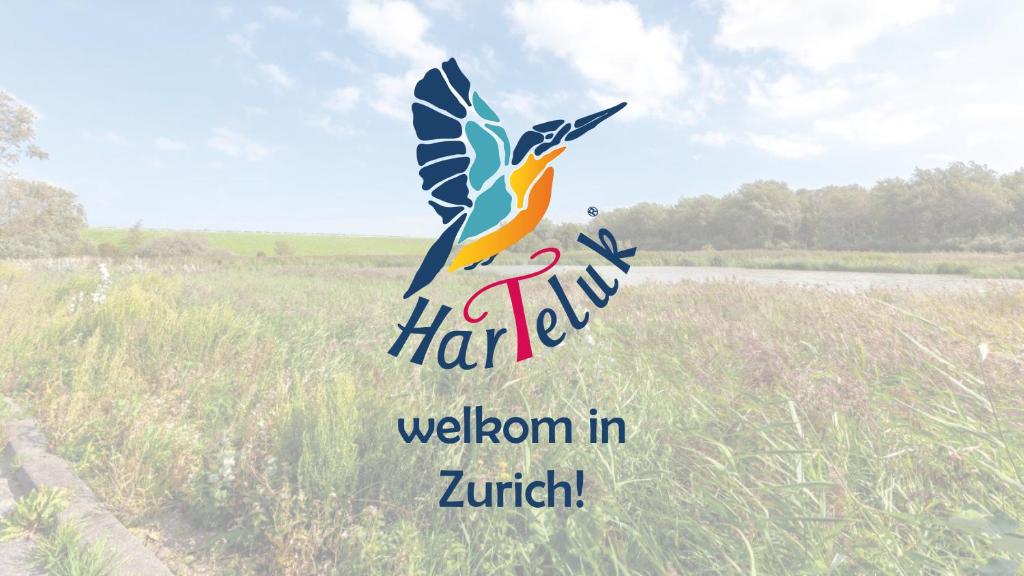 Harteluk Afsluitdijk Zurich - Harlingen