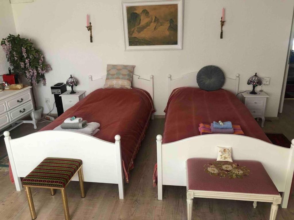 Double Room In Nice House Near The Forest (Basement Floor) - Biel