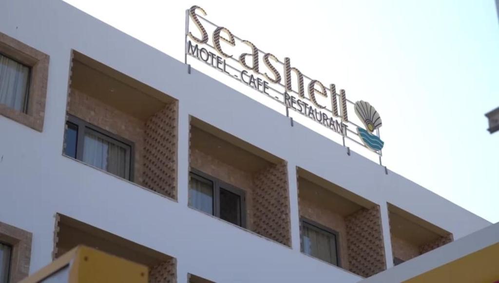 Seashell - Morocco