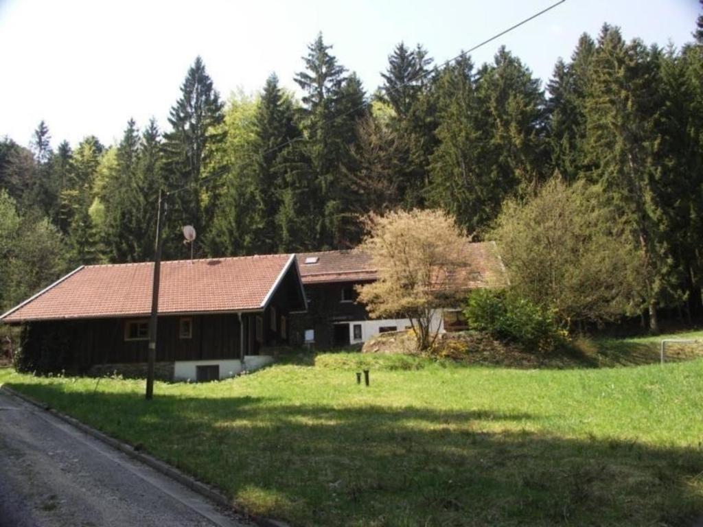 Ferienhaus In Absoluter Alleinlage Mit Naturbadeteich Im Bayerischen Wald Für Bis Zu 15 Personen - Sankt Englmar
