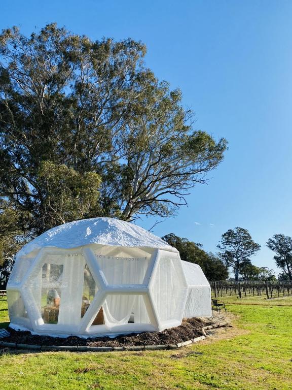 Coonawarra Hampton Bubble 2 - South Australia