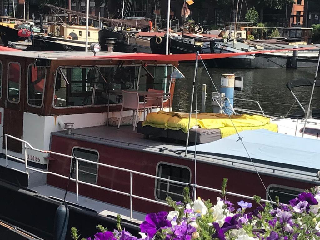 Spacious Homely House Boat - Ámsterdam