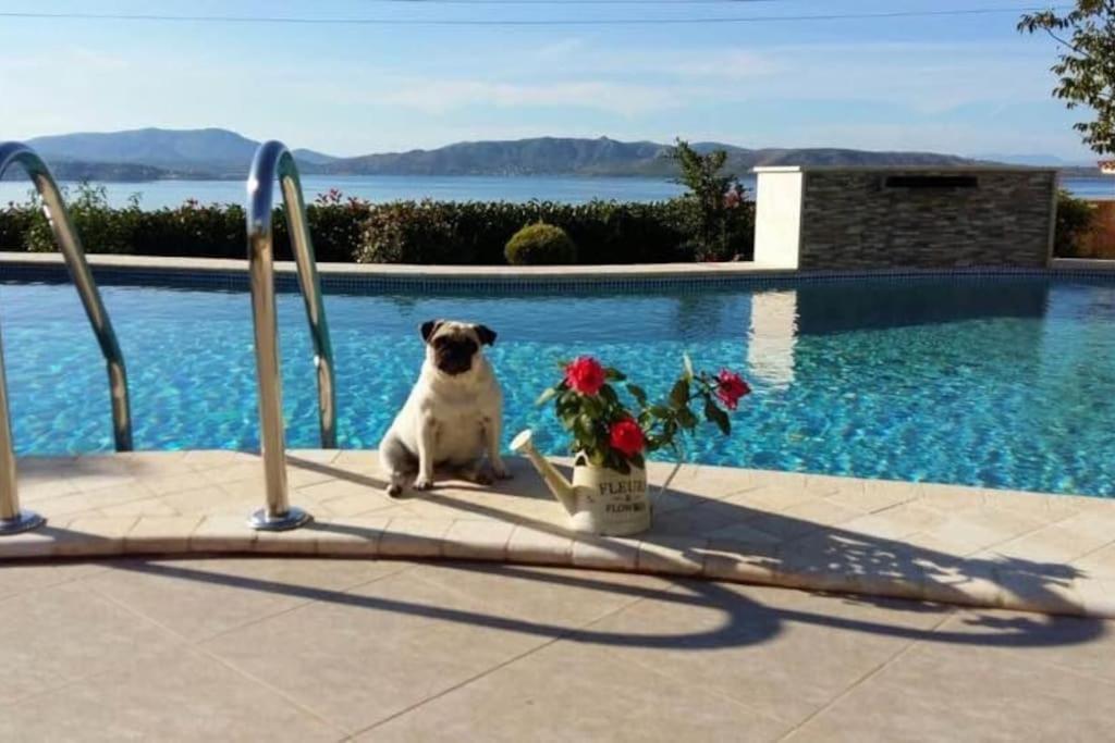 Spacious Villa With A Pool - Саламин