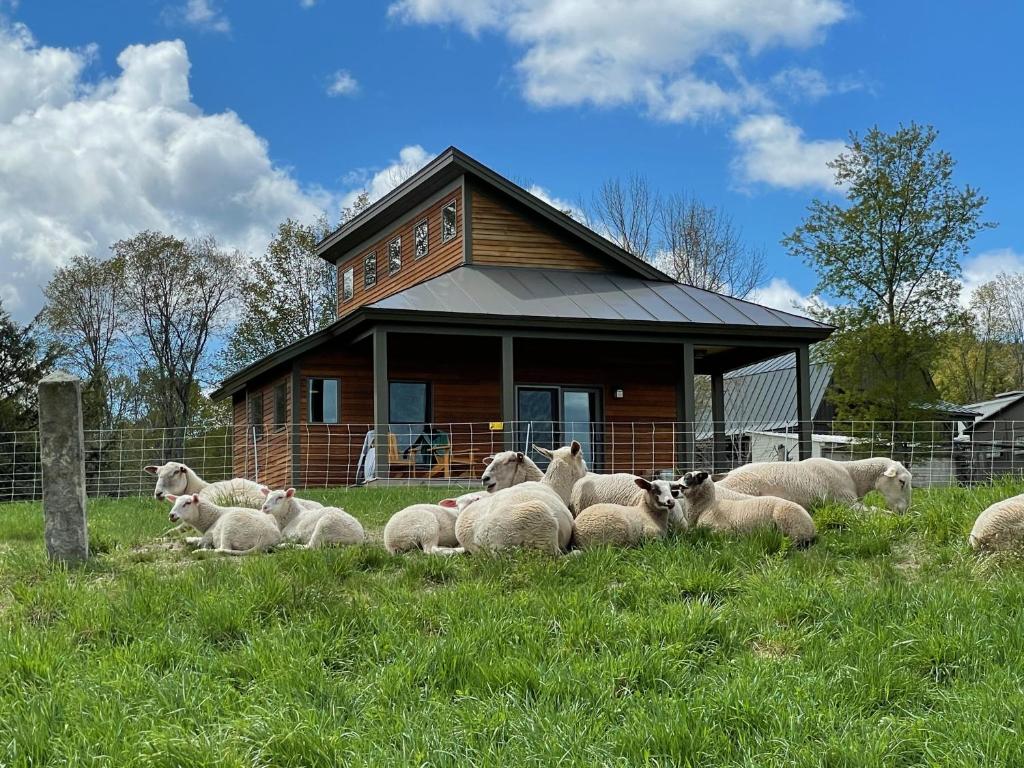 Fat Sheep Farm & Cabins - Woodstock, VT