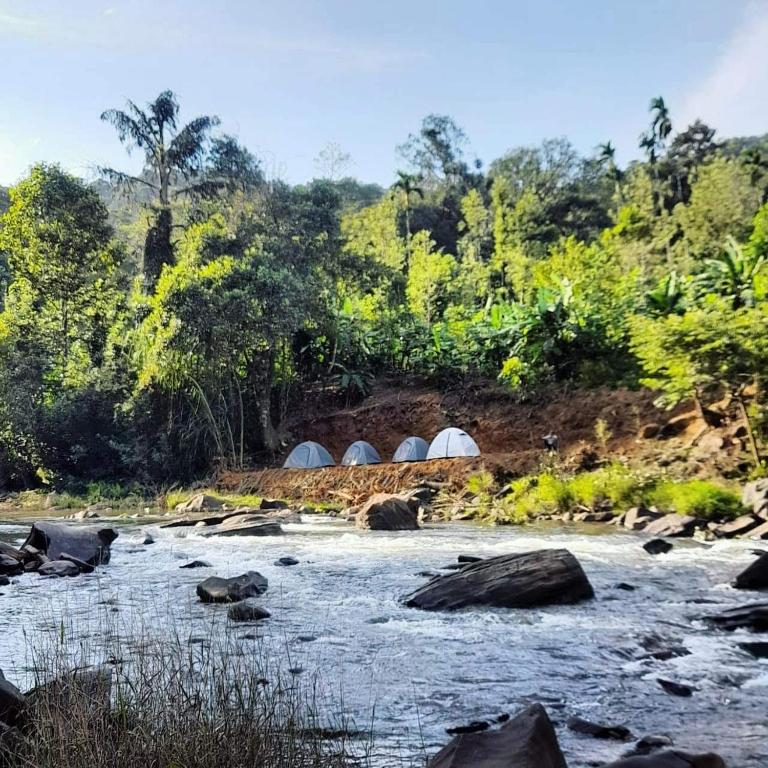 Nature River Camp - Karnataka