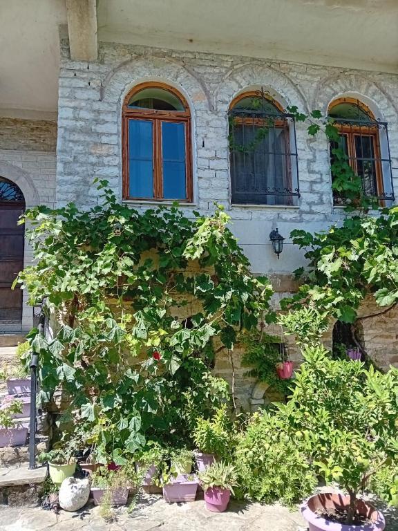 Stone Pazar Guest House - District de Gjirokastër