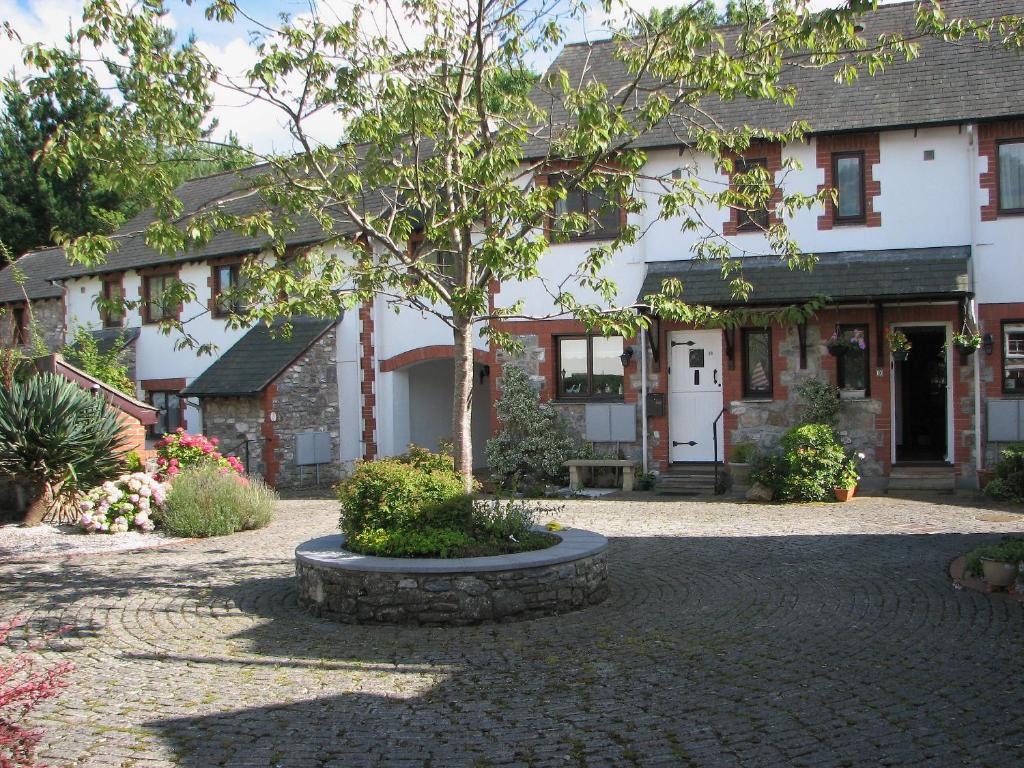 Kay's Cottage - Buckfastleigh