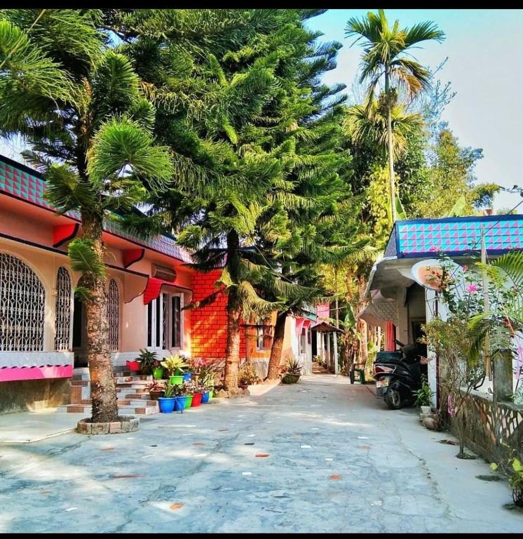 Rupali Tat Ghar And Homestay - Nagaland