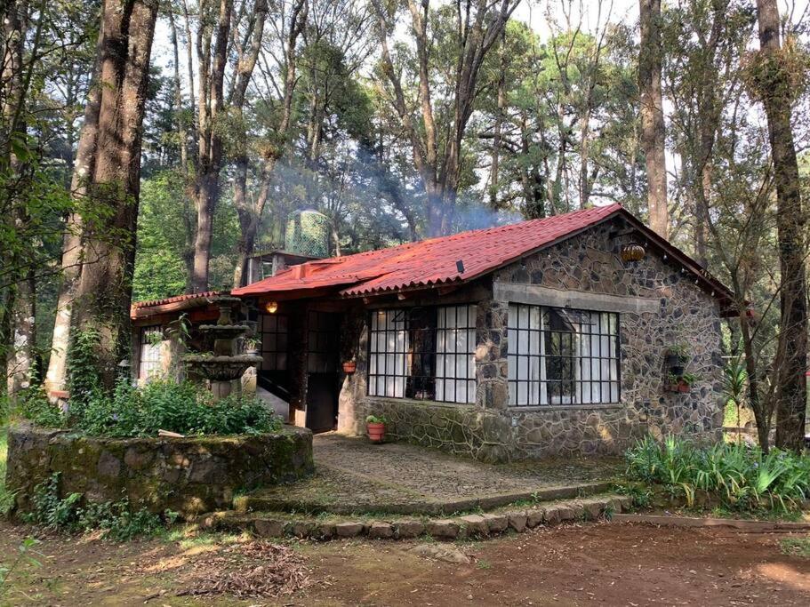 Hermosa Cabaña En El Bosque - Morelos