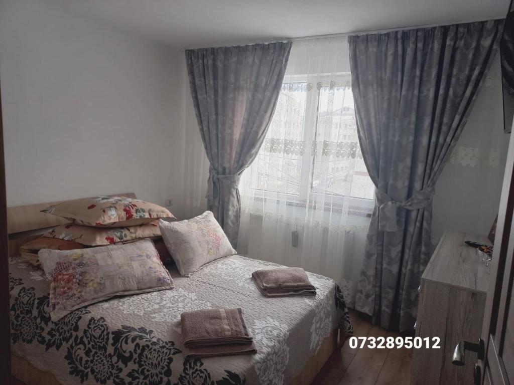 Apartament Bianca - Câmpulung Moldovenesc