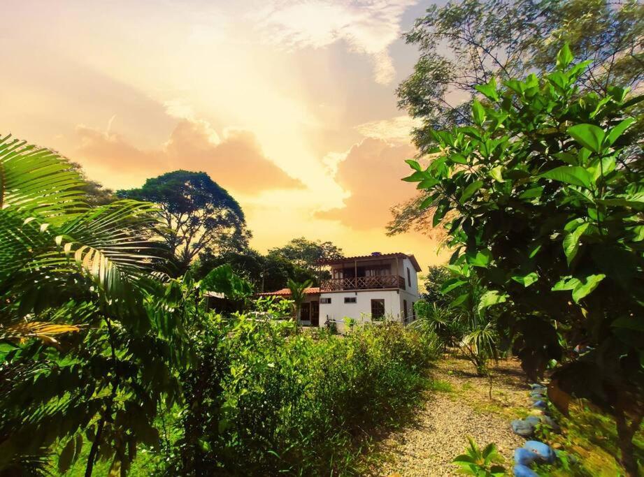 Espectacular Casa-bonobo House Al Lado Del Rio - Acacías