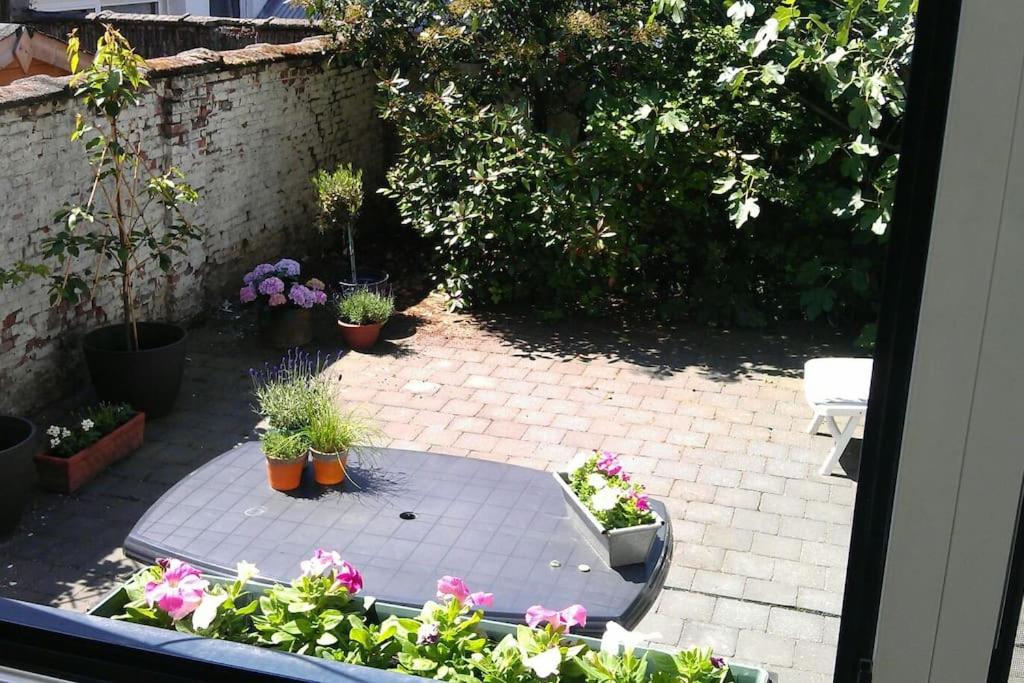 Charming House With Terrace 10min From Citycenter - Boom