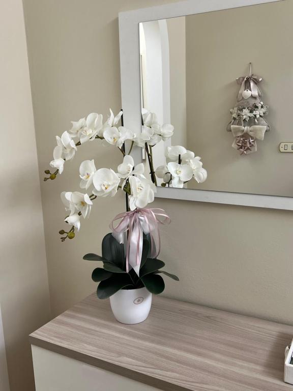 Casa Vacanze L’orchidea - Poppi