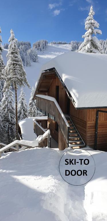 Golte Ski Center Apartment - Topolšica