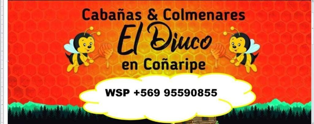 Cabañas El Diuco en Coñaripe 2 - Araucanía