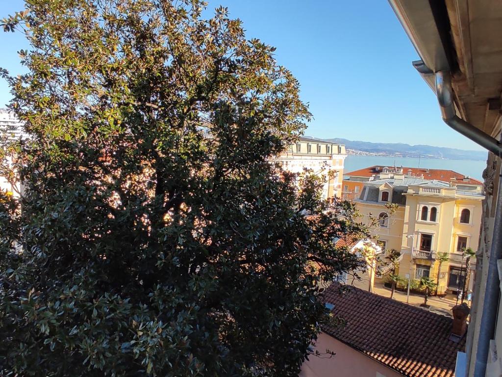 Apartment In Opatija With Air Condition, Wifi, Washing Machine (905-2) - Abbazia