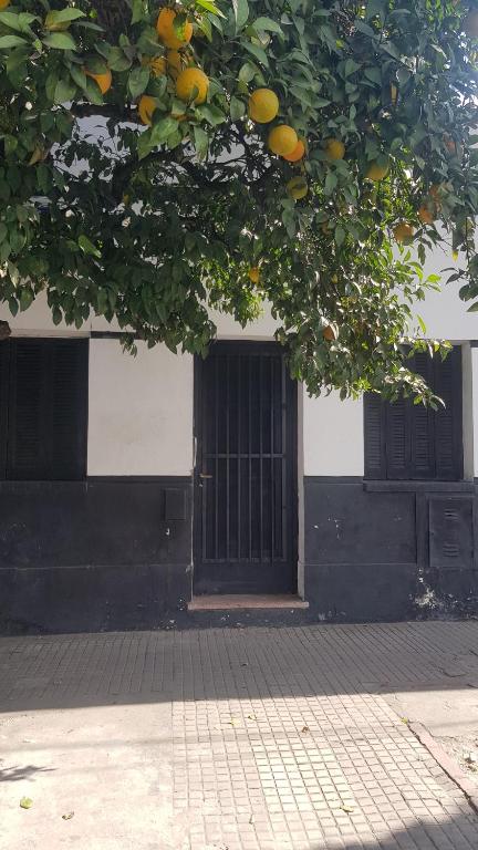 Casa Barrio Norte - Provincia de Santiago del Estero