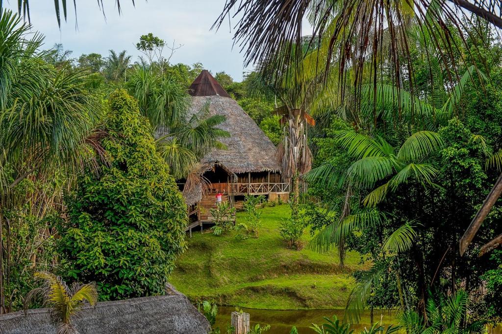 Pacaya Samiria Amazon Lodge - All Inclusive - ペルー