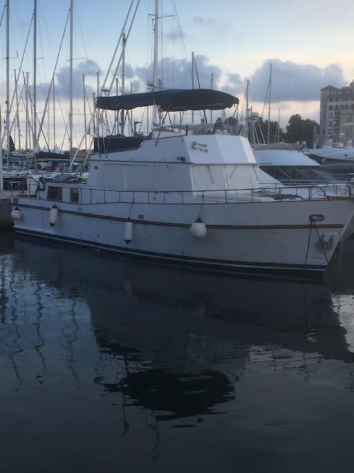 Superb Authentic Boat In The Old Port Of Cannes - Golfe-Juan