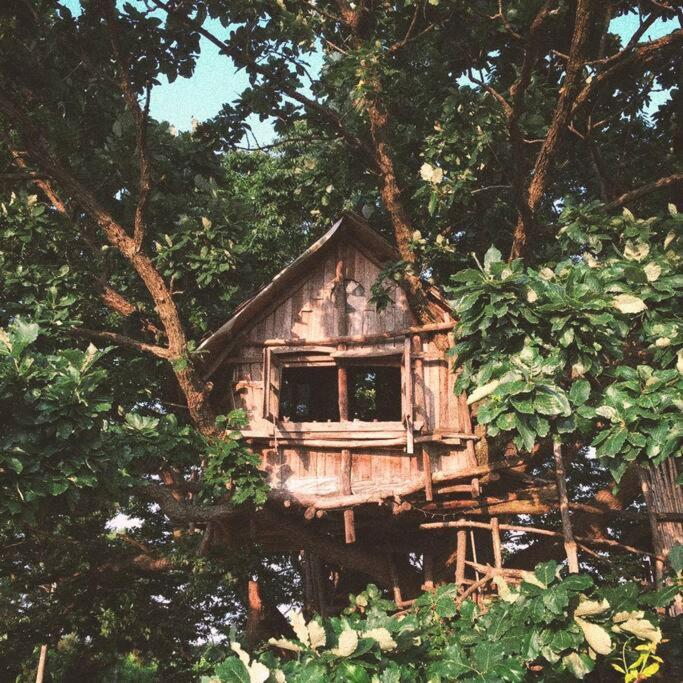 Mizuno Sang's Tree House - 光州