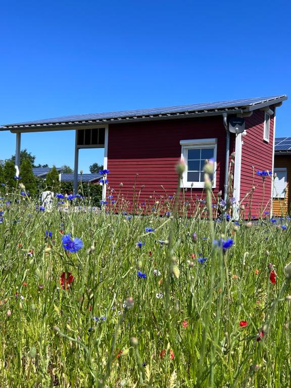Emsland-camp Sweden Houses - Nedersaksen