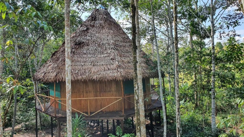 Amaca Eco Station - Amazonas