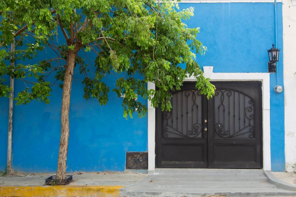 Best Location Super Value Walk To Any Restaurant - Yucatán