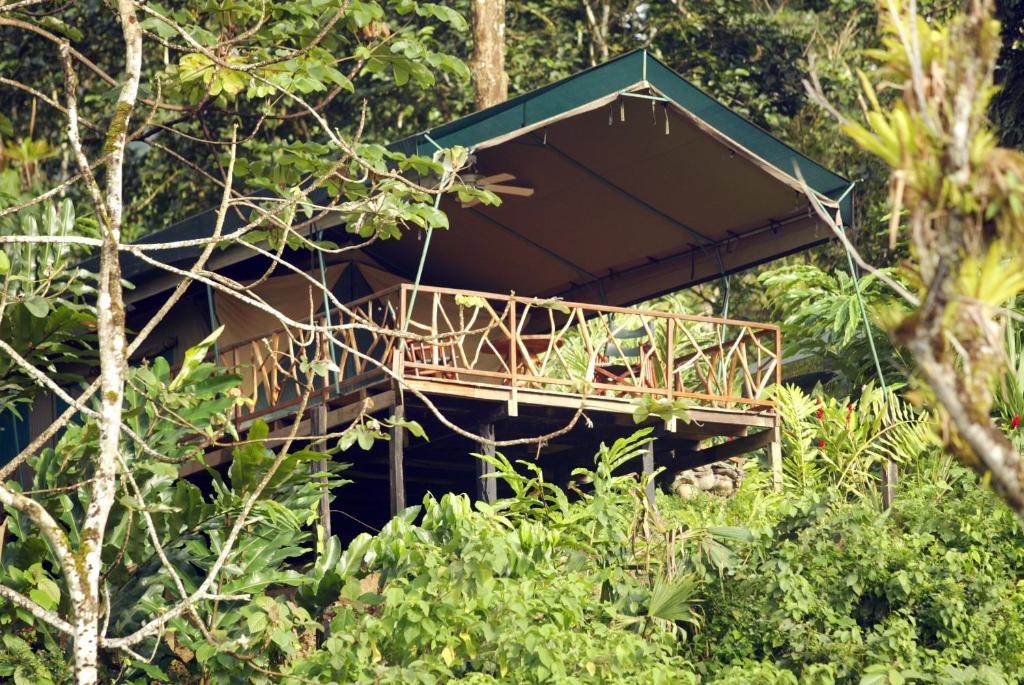 Rafiki Safari Lodge - Costa Rica