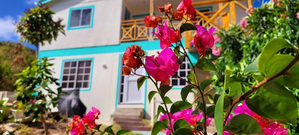 Colorful Garden House - Providencia, Colombia