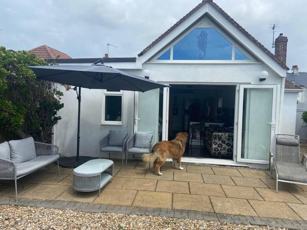 Pet Friendly Unique 4-bed Bungalow In Porthcawl - Porthcawl