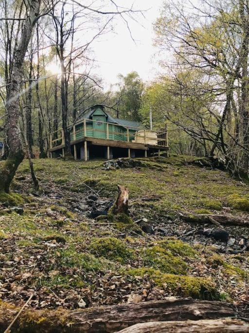 Tree Top Cabin With Log Burner & Private Hot Tub - Barmouth
