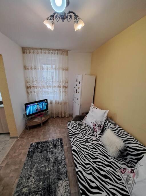 Apartament Ionel - Râmnicu Vâlcea