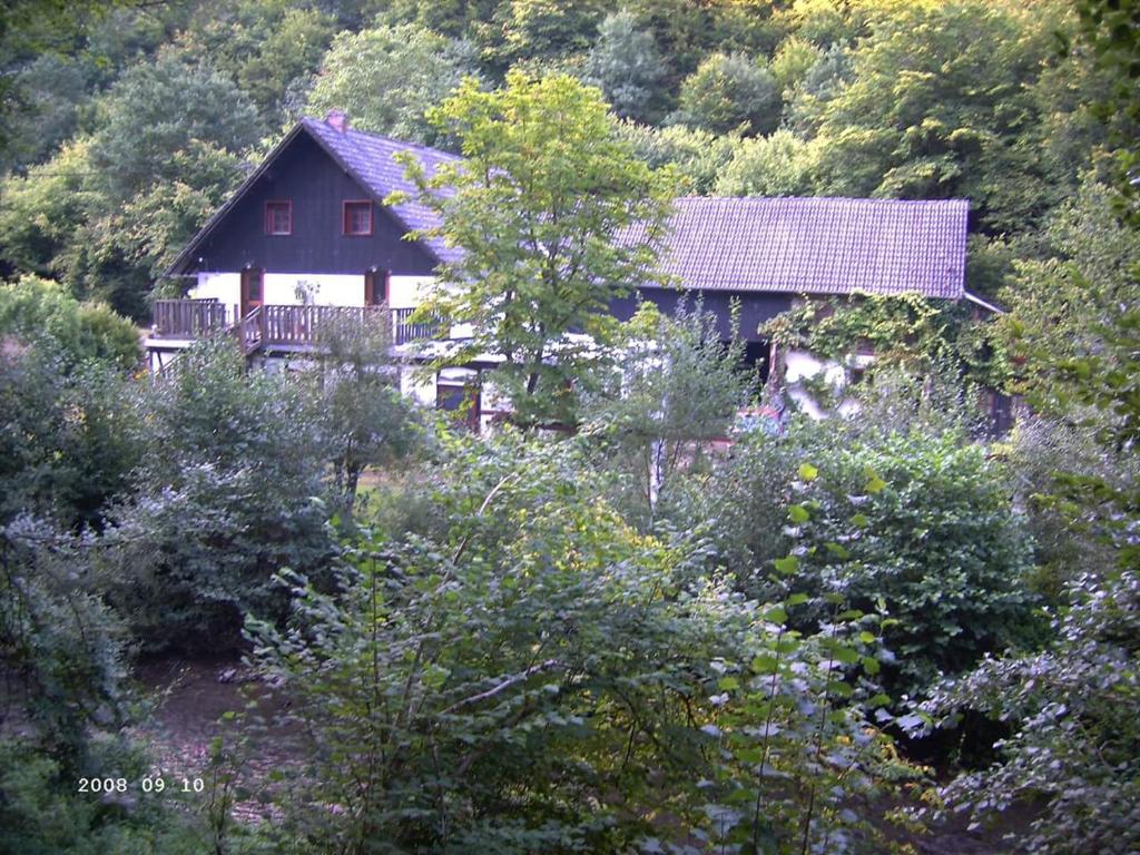 Ferienhaus Neumühle - Bad Bertrich