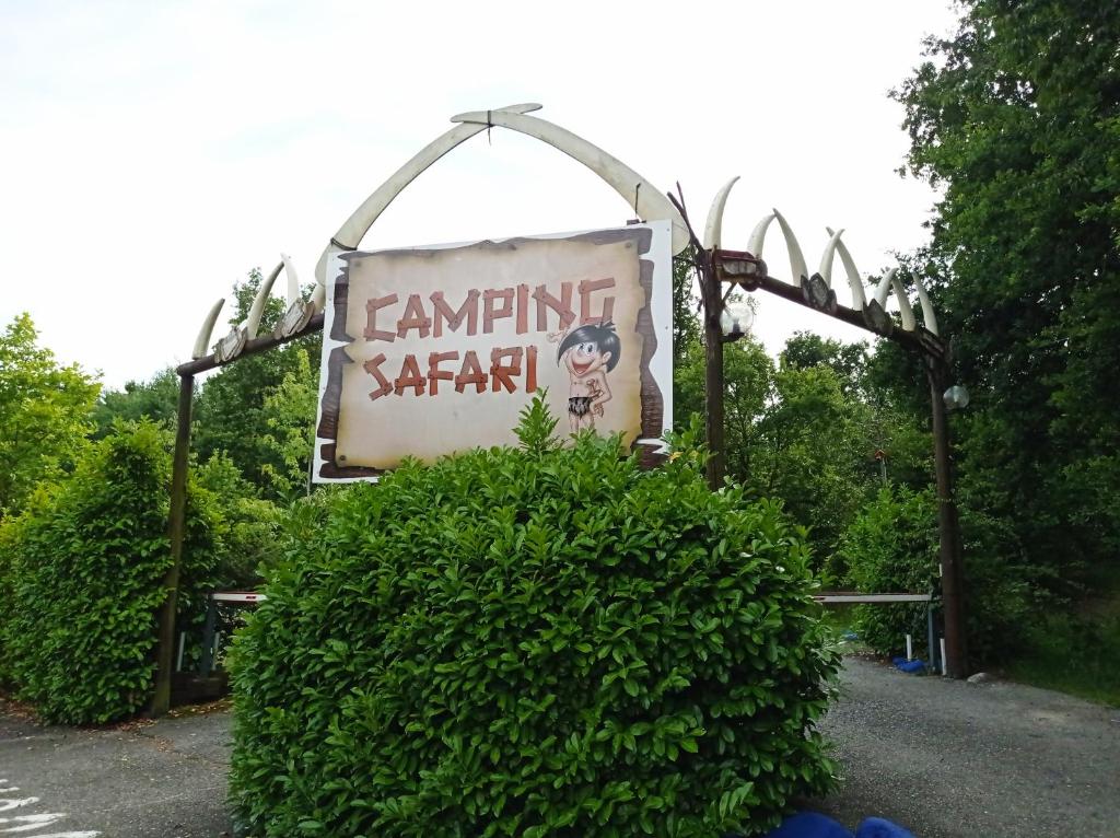 Safari Camping - Momo