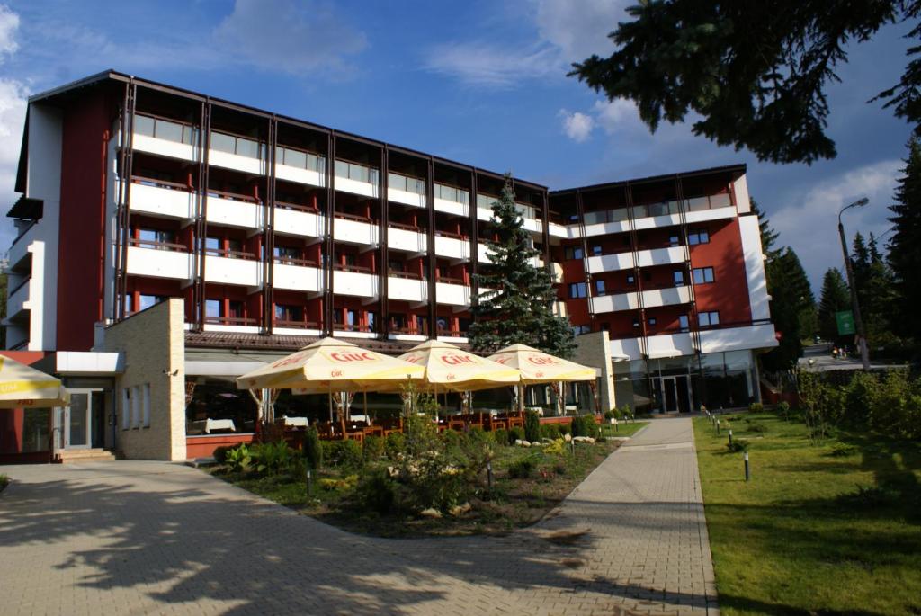 Hotel Carpați - Transylvania